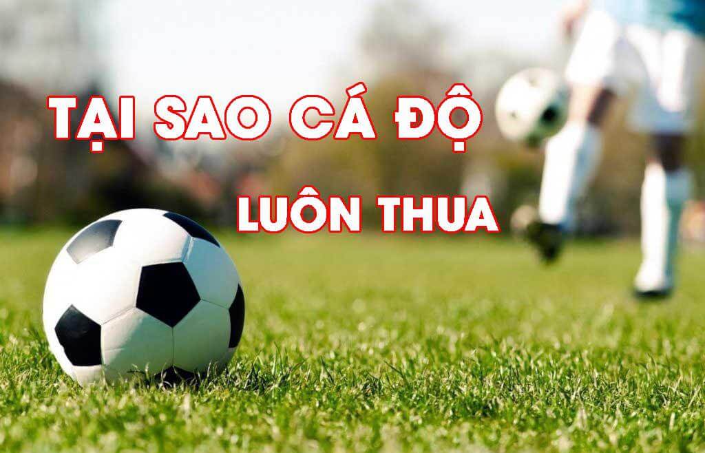 Tại sao cá độ bóng đá luôn thua?