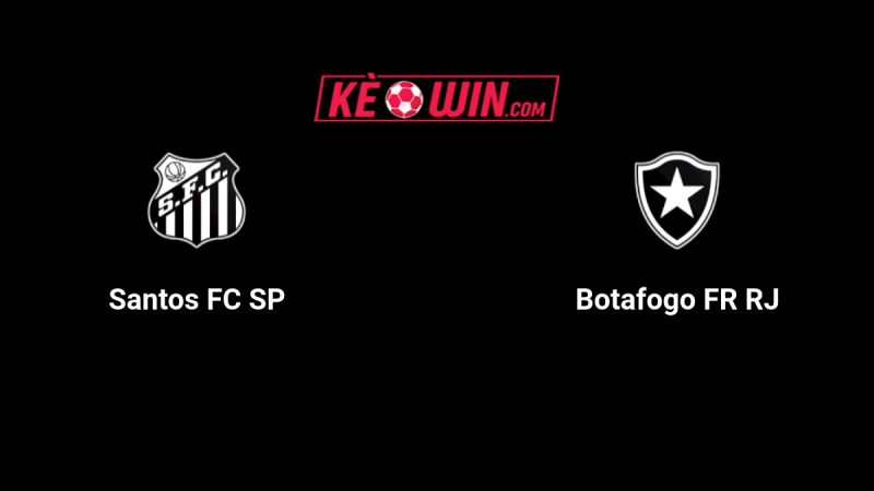 Santos vs Botafogo – Kèo bóng đá 02h00 02/06/2025 – VĐQG Brazil