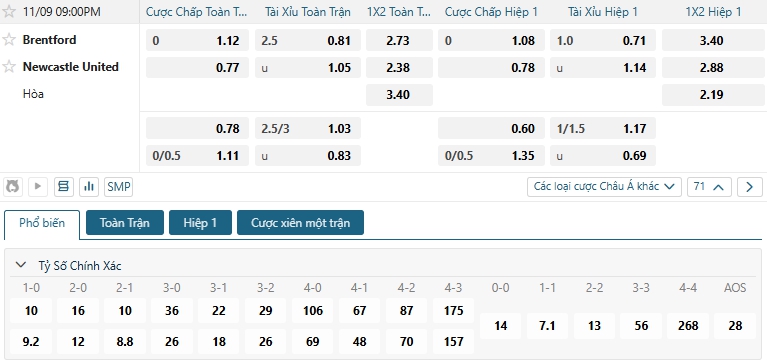 Tip bóng đá Brentford vs Newcastle United