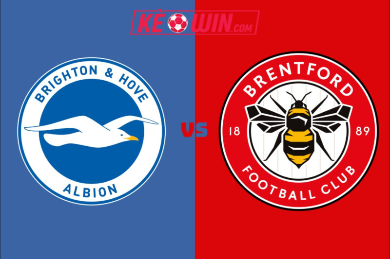 Brighton & Hove Albion vs Brentford – Kèo bóng đá 22h00 22/11/2025 – Ngoại hạng Anh